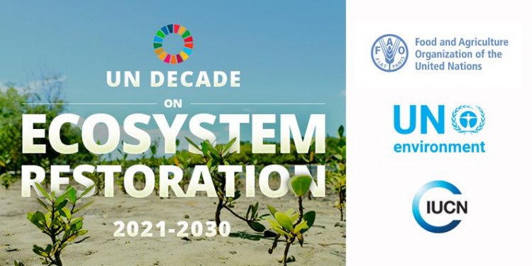 Десятилетие ООН по восстановлению экосистем 2021 - 2030 гг.
